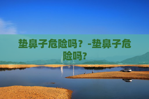 垫鼻子危险吗？-垫鼻子危险吗?