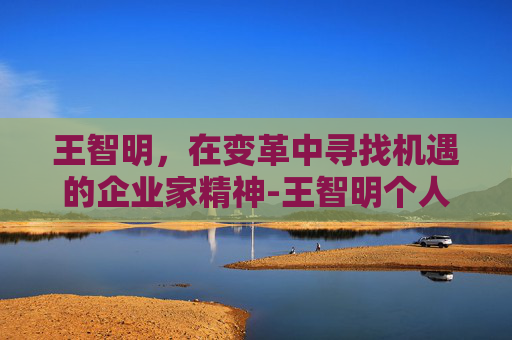 王智明，在变革中寻找机遇的企业家精神-王智明个人资料简介