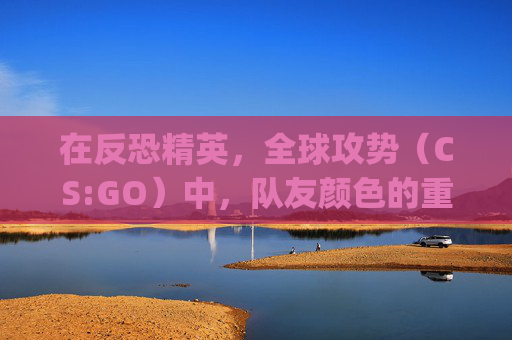 在反恐精英，全球攻势（CS:GO）中，队友颜色的重要性-csgo队友颜色字母怎么设置