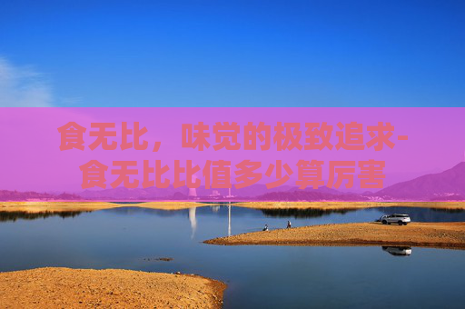 食无比，味觉的极致追求-食无比比值多少算厉害