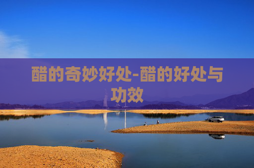 醋的奇妙好处-醋的好处与功效
