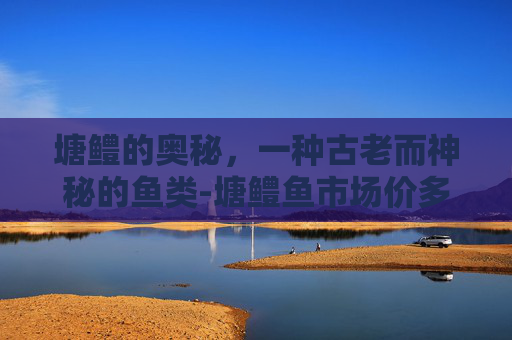 塘鳢的奥秘，一种古老而神秘的鱼类-塘鳢鱼市场价多少钱一斤