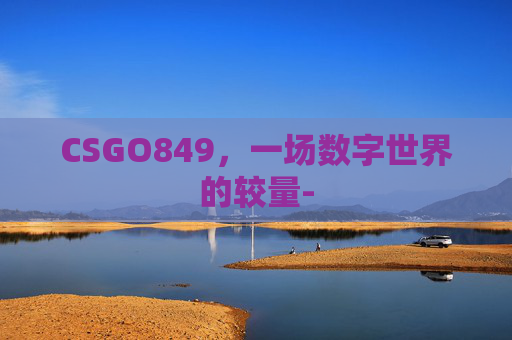 CSGO849，一场数字世界的较量-