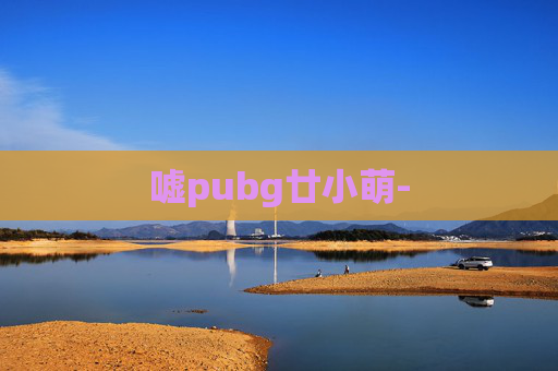嘘pubg廿小萌-