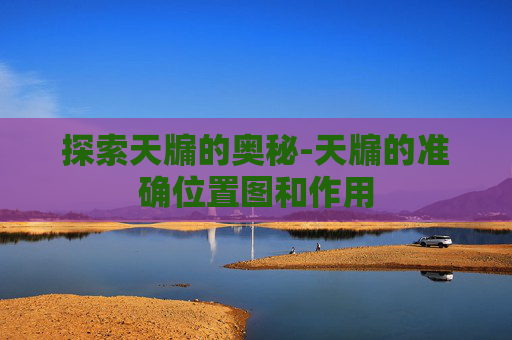 探索天牖的奥秘-天牖的准确位置图和作用
