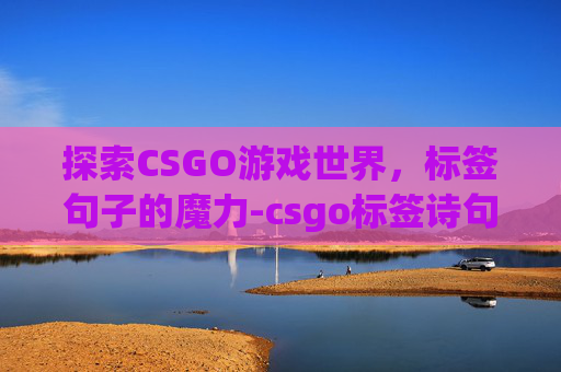 探索CSGO游戏世界，标签句子的魔力-csgo标签诗句