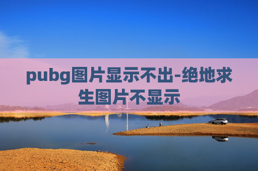 pubg图片显示不出-绝地求生图片不显示