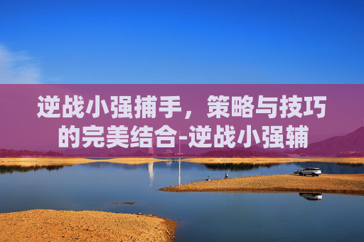 逆战小强捕手，策略与技巧的完美结合-逆战小强辅