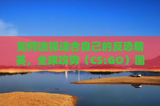 如何选择适合自己的反恐精英，全球攻势（CS:GO）国际服-csgo如何选国际服