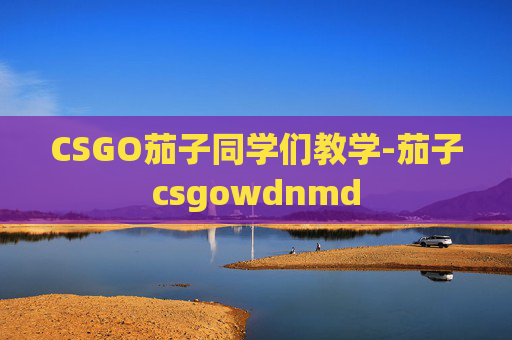 CSGO茄子同学们教学-茄子csgowdnmd