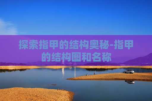 探索指甲的结构奥秘-指甲的结构图和名称