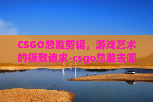 CSGO总监剪辑，游戏艺术的极致追求-csgo总监去哪个队了