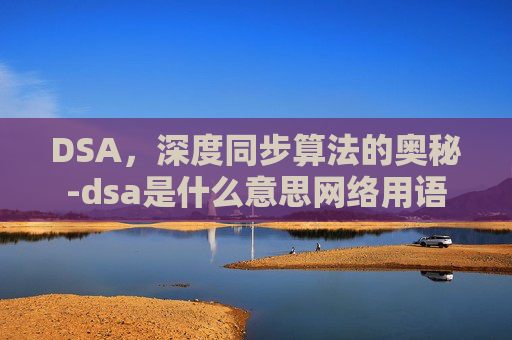 DSA，深度同步算法的奥秘-dsa是什么意思网络用语