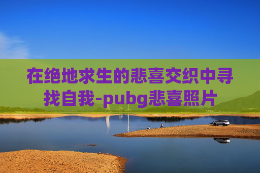 在绝地求生的悲喜交织中寻找自我-pubg悲喜照片