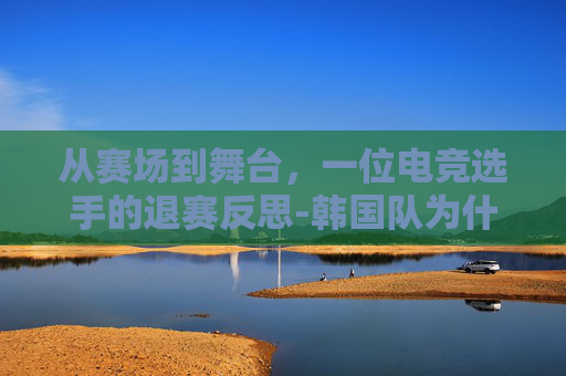 从赛场到舞台，一位电竞选手的退赛反思-韩国队为什么退赛