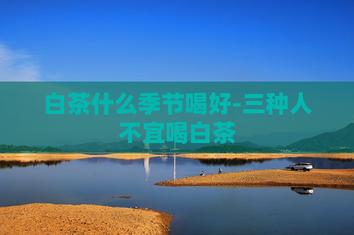 白茶什么季节喝好-三种人不宜喝白茶