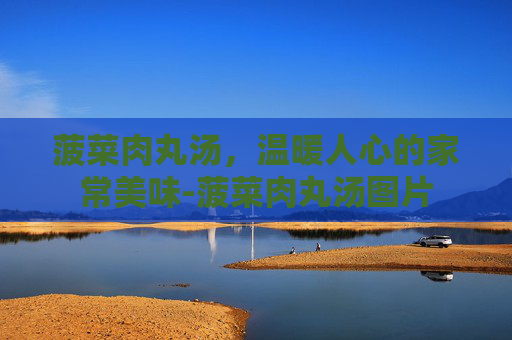 菠菜肉丸汤，温暖人心的家常美味-菠菜肉丸汤图片