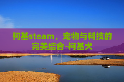 柯基steam，宠物与科技的完美结合-柯基犬