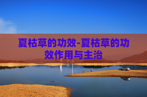 夏枯草的功效-夏枯草的功效作用与主治