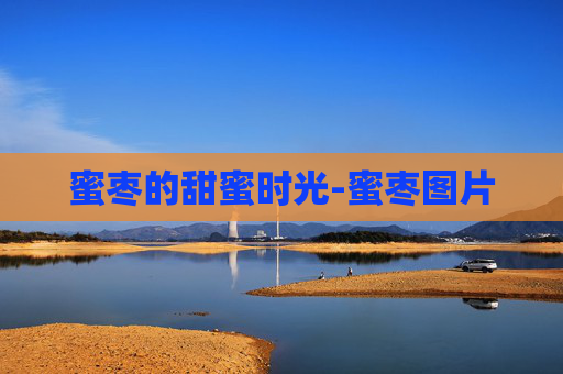 蜜枣的甜蜜时光-蜜枣图片