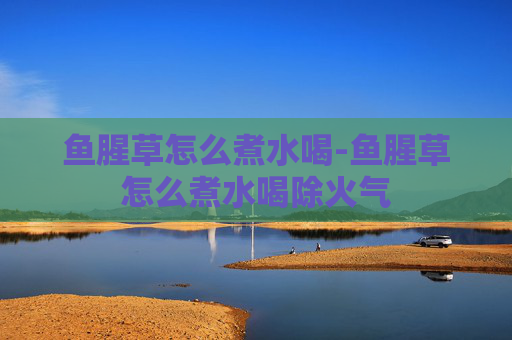 鱼腥草怎么煮水喝-鱼腥草怎么煮水喝除火气
