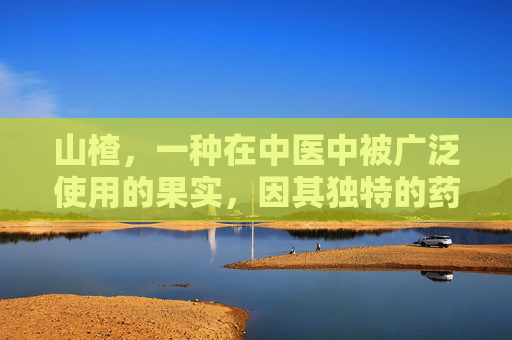 山楂，一种在中医中被广泛使用的果实，因其独特的药理作用而备受推崇。它不仅是一种美味的水果，更蕴含着丰富的健康益处。接下来，我们将探讨山楂的功效，并分析其对人体健康的积极影响。-花椒生姜陈皮山楂有什么功效