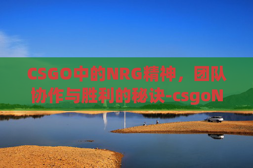 CSGO中的NRG精神，团队协作与胜利的秘诀-csgoNRG战队