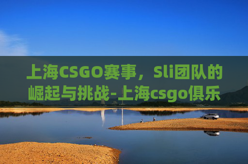 上海CSGO赛事，Sli团队的崛起与挑战-上海csgo俱乐部