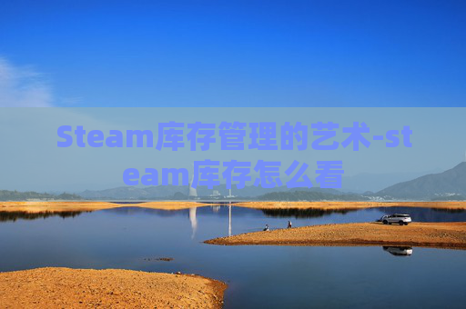 Steam库存管理的艺术-steam库存怎么看