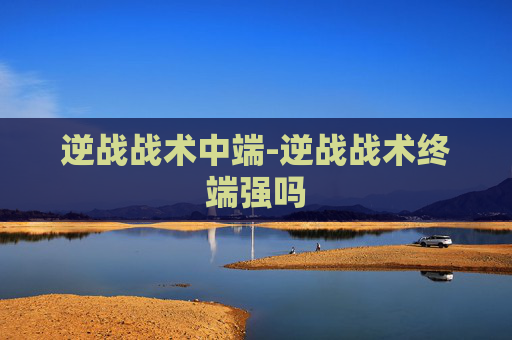 逆战战术中端-逆战战术终端强吗