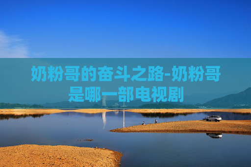 奶粉哥的奋斗之路-奶粉哥是哪一部电视剧