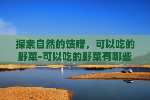 探索自然的馈赠，可以吃的野菜-可以吃的野菜有哪些