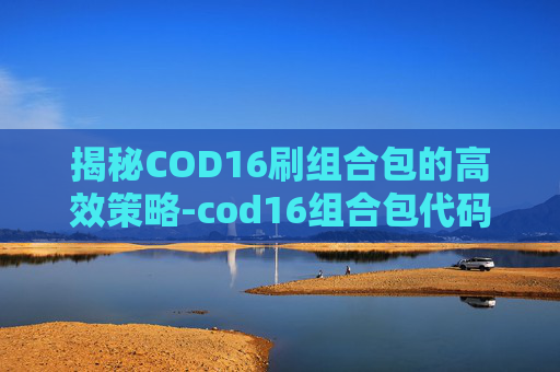 揭秘COD16刷组合包的高效策略-cod16组合包代码大全