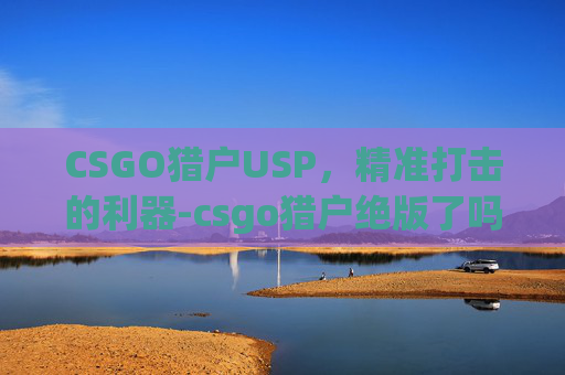 CSGO猎户USP，精准打击的利器-csgo猎户绝版了吗