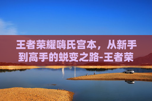 王者荣耀嗨氏宫本，从新手到高手的蜕变之路-王者荣耀嗨氏2021
