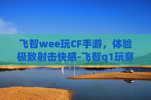 飞智wee玩CF手游，体验极致射击快感-飞智q1玩穿越火线设置