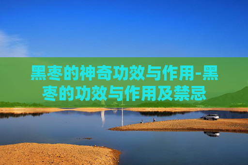 黑枣的神奇功效与作用-黑枣的功效与作用及禁忌