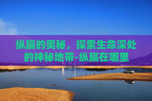 纵膈的奥秘，探索生命深处的神秘地带-纵膈在哪里