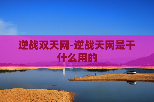 逆战双天网-逆战天网是干什么用的