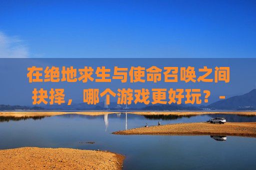 在绝地求生与使命召唤之间抉择，哪个游戏更好玩？-pubg的fps高好还是低好