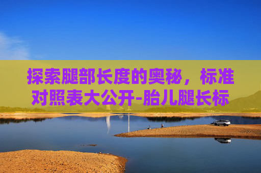 探索腿部长度的奥秘，标准对照表大公开-胎儿腿长标准对照表