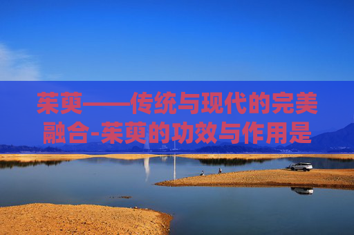 茱萸——传统与现代的完美融合-茱萸的功效与作用是什么