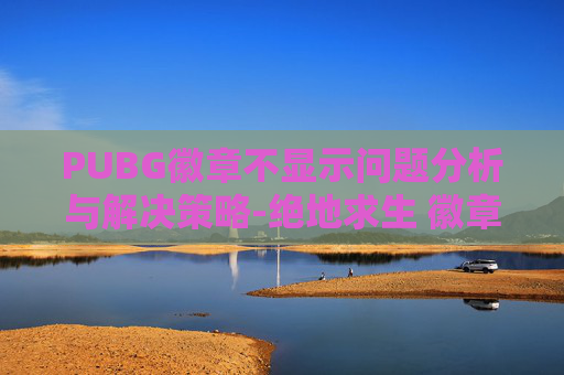 PUBG徽章不显示问题分析与解决策略-绝地求生 徽章