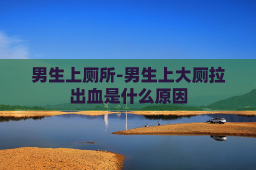 男生上厕所-男生上大厕拉出血是什么原因