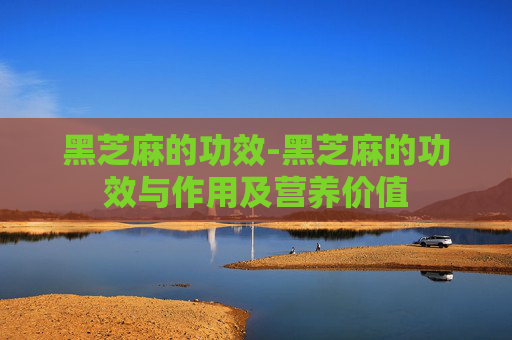 黑芝麻的功效-黑芝麻的功效与作用及营养价值