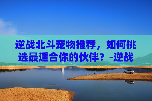 逆战北斗宠物推荐，如何挑选最适合你的伙伴？-逆战北斗宠物推荐最新