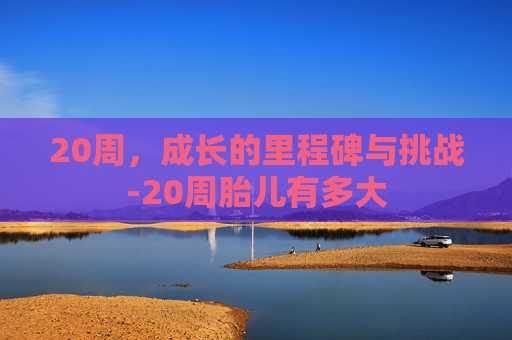 20周，成长的里程碑与挑战-20周胎儿有多大