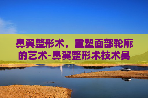 鼻翼整形术，重塑面部轮廓的艺术-鼻翼整形术技术吴玉家