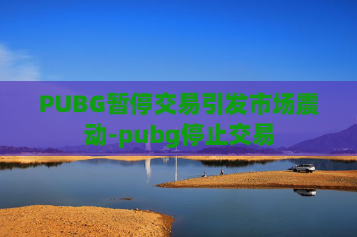 PUBG暂停交易引发市场震动-pubg停止交易