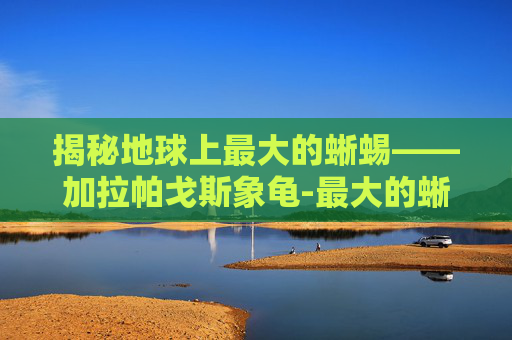 揭秘地球上最大的蜥蜴——加拉帕戈斯象龟-最大的蜥蜴科莫多巨蜥